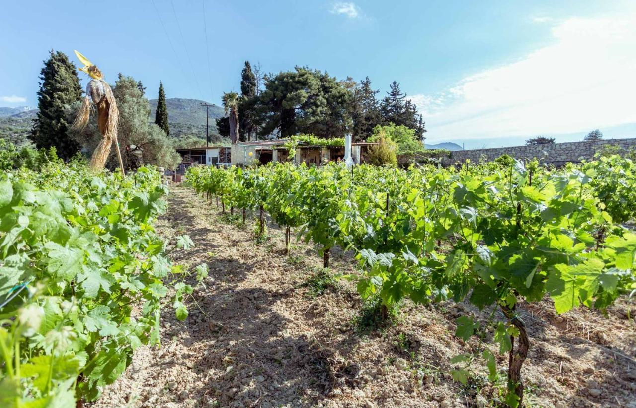 Nassibe Estate Villa Agios Ioannis  Exterior photo